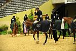 USHJA-Derby-8-21-10-Rnd3-DER2_0333-DDeRosaPhoto.jpg