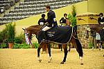 USHJA-Derby-8-21-10-Rnd3-DER2_0335-DDeRosaPhoto.jpg