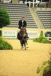 USHJA-Derby-8-21-10-Rnd3-DER2_0386-DDeRosaPhoto.jpg