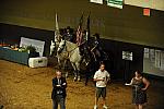 Entertainment - Color Guard