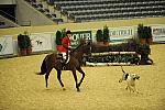 USHJA-Derby-8-20-10-CrseWk-DER_7381-DDeRosaPhoto.jpg