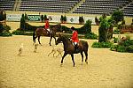 USHJA-Derby-8-20-10-CrseWk-DER_7386-DDeRosaPhoto.jpg