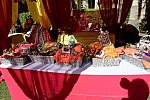 Vivuchi Wedding-11-22-23-2016-9111-DDeRosaPhoto