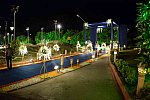 Vivuchi Wedding-11-22-23-2016-9234-DDeRosaPhoto