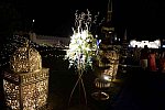 Vivuchi Wedding-11-22-23-2016-9238-DDeRosaPhoto