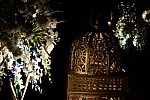 Vivuchi Wedding-11-22-23-2016-9404-DDeRosaPhoto