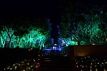 Vivuchi Wedding-11-22-23-2016-9422-DDeRosaPhoto