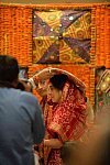 Vivuchi Wedding-11-22-23-2016-9527-DDeRosaPhoto