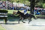 WEG2-10-2-10-EV-XX-3454-BallysGeronimo-ViktoriaCarlerback-DDeRosaPhoto.jpg
