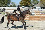 WEG3-10-6-10-Hunters-3533-DDeRosaPhoto.jpg
