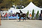 WEG3-10-6-10-Hunters-3537-DDeRosaPhoto.jpg
