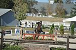 WEG3-10-6-10-Hunters-3540-DDeRosaPhoto.jpg