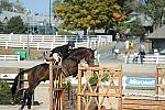 WEG3-10-6-10-Hunters-3544-DDeRosaPhoto.jpg