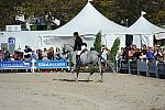 WEG3-10-6-10-Hunters-3574-DDeRosaPhoto.jpg
