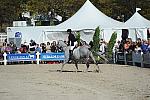 WEG3-10-6-10-Hunters-3575-DDeRosaPhoto.jpg