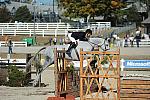 WEG3-10-6-10-Hunters-3586-DDeRosaPhoto.jpg
