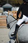 WEG3-10-6-10-Hunters-3592-DDeRosaPhoto.jpg