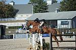 WEG3-10-6-10-Hunters-3598-DDeRosaPhoto.jpg