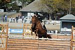 WEG3-10-6-10-Hunters-3604-DDeRosaPhoto.jpg