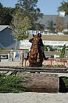 WEG3-10-6-10-Hunters-3607-DDeRosaPhoto.jpg