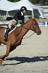 WEG3-10-6-10-Hunters-3610-DDeRosaPhoto.jpg