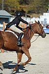 WEG3-10-6-10-Hunters-3611-DDeRosaPhoto.jpg