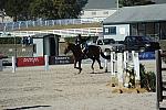 WEG3-10-6-10-Hunters-3616-DDeRosaPhoto.jpg