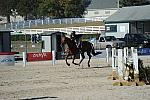WEG3-10-6-10-Hunters-3617-DDeRosaPhoto.jpg