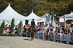 WEG3-10-6-10-Hunters-3619-DDeRosaPhoto.jpg