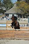 WEG3-10-6-10-Hunters-3628-DDeRosaPhoto.jpg