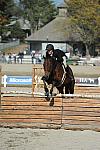 WEG3-10-6-10-Hunters-3629-DDeRosaPhoto.jpg
