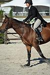 WEG3-10-6-10-Hunters-3631-DDeRosaPhoto.jpg