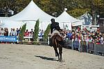 WEG3-10-6-10-Hunters-3637-DDeRosaPhoto.jpg