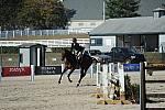 WEG3-10-6-10-Hunters-3638-DDeRosaPhoto.jpg