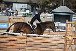 WEG3-10-6-10-Hunters-3641-DDeRosaPhoto.jpg