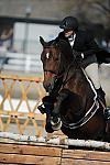 WEG3-10-6-10-Hunters-3650-DDeRosaPhoto.jpg