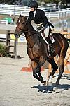 WEG3-10-6-10-Hunters-3652-DDeRosaPhoto.jpg