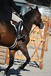 WEG3-10-6-10-Hunters-3658-DDeRosaPhoto.jpg