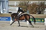WEG3-10-6-10-Hunters-3665-DDeRosaPhoto.jpg