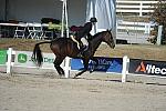WEG3-10-6-10-Hunters-3669-DDeRosaPhoto.jpg