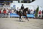 WEG3-10-6-10-Hunters-3679-DDeRosaPhoto.jpg