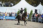 WEG3-10-6-10-Hunters-3681-DDeRosaPhoto.jpg