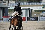 WEG3-10-6-10-Hunters-3687-DDeRosaPhoto.jpg