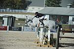 WEG3-10-6-10-Hunters-3703-DDeRosaPhoto.jpg