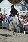 WEG3-10-6-10-Hunters-3709-DDeRosaPhoto.jpg