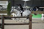 WEG3-10-6-10-Hunters-3735-DDeRosaPhoto.jpg