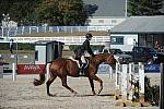 WEG3-10-6-10-Hunters-3747-DDeRosaPhoto.jpg