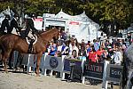 WEG3-10-6-10-Hunters-3767-DDeRosaPhoto.jpg