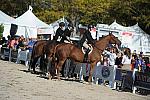 WEG3-10-6-10-Hunters-3771-DDeRosaPhoto.jpg