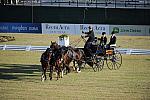 WEG3-10-7-10-DR-DRE-5521-LudwigWeinmayr-GER-DDeRosaPhoto.jpg